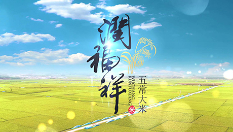 五常大米宣传片润福祥